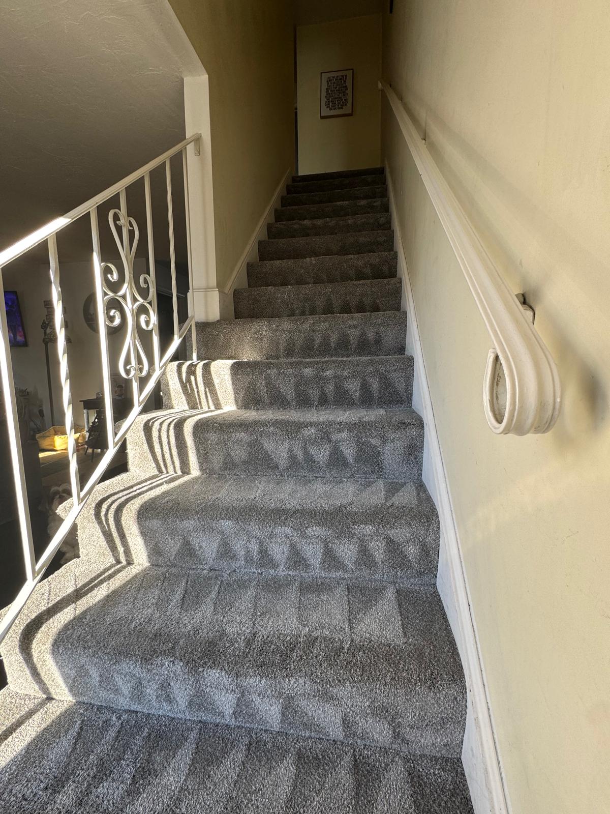 Freshly cleaned gray carpeted staircase and curved landing